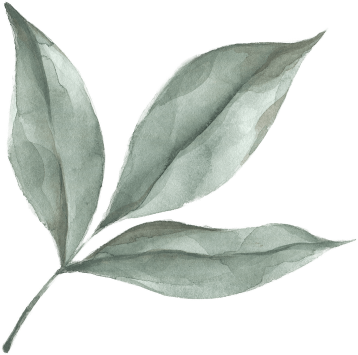 Modern oasis leaf